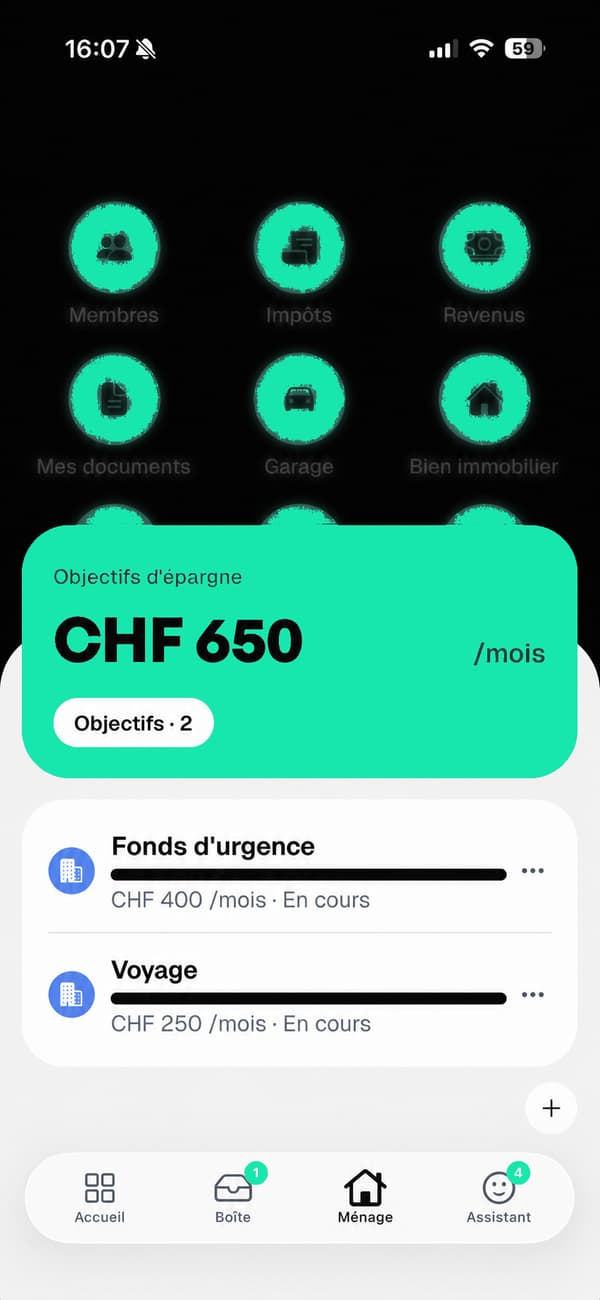 Anteprima del budget in Floxy